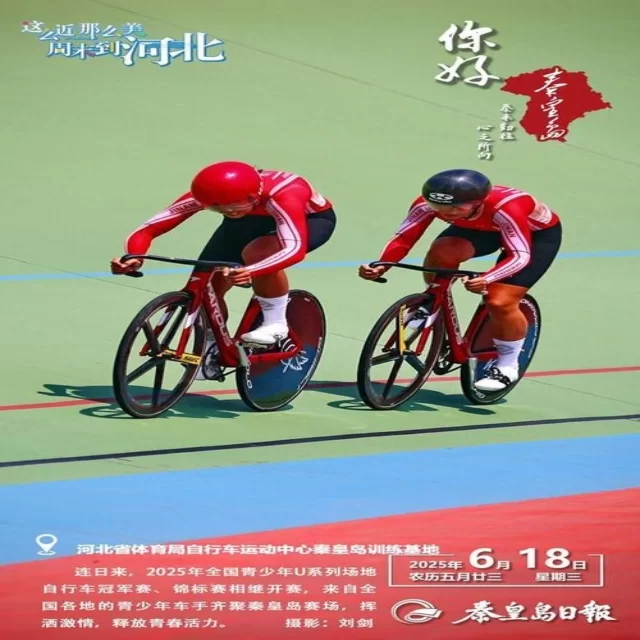 乒乓球冠军竞争格局深度解析：数据视角的全景揭示
